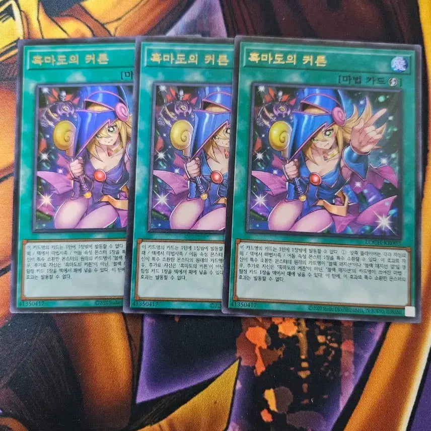 [BUNJANG] Yu-Gi-Oh! Dark Magician Girl Bundle Set / 유희왕 흑마도의 커튼 일괄