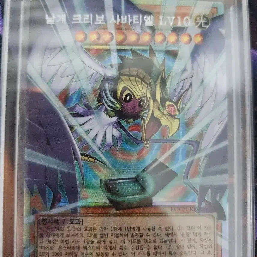 [BUNJANG] Yu-Gi-Oh! Winged Kuriboh Sabatiel LV10 (Oversleeved) / 유희왕 날개 크리보 사바티엘 LV10 (오버프싴)