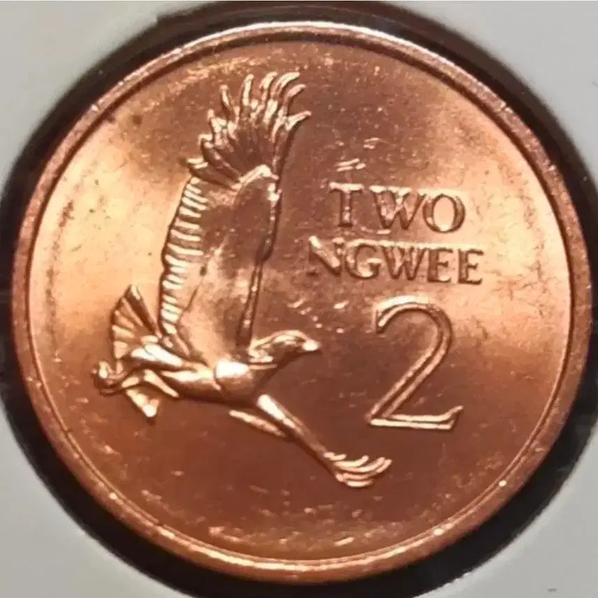 [BUNJANG] Zambia 1983 2 Ngwee Unused Coin / 잠비아 미사용 1983년 2응위.외국주화.주화 화폐 동전