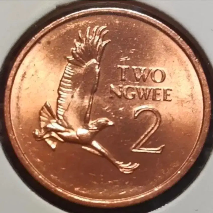 [BUNJANG] Zambia 1983 2 Ngwee Unused Coin / 잠비아 미사용 1983년 2응위.외국주화.주화 화폐 동전