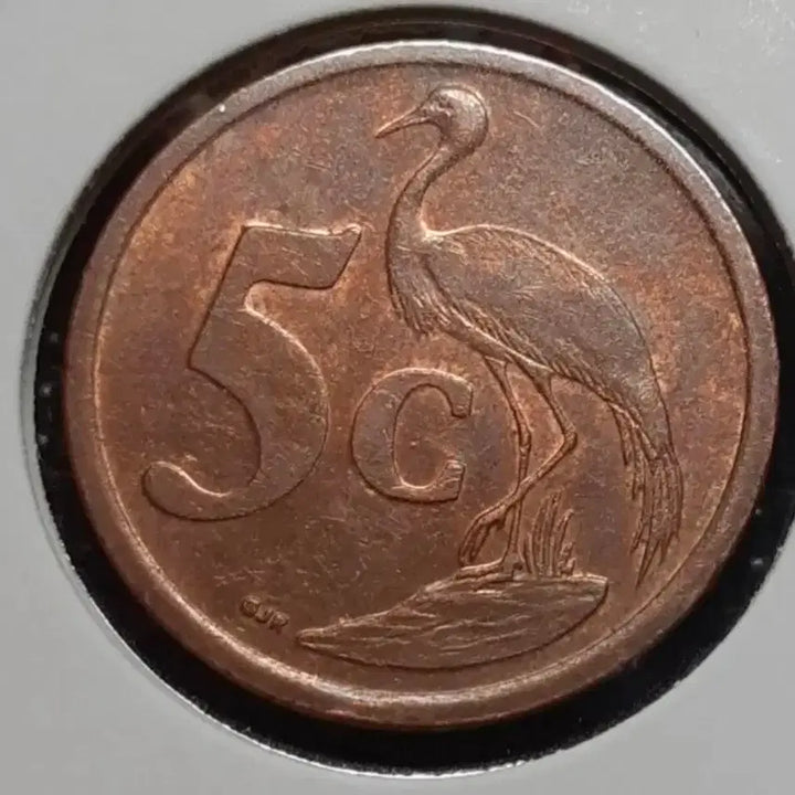 [BUNJANG] South Africa 2005 5 Cent Coin / 남아프리카 2005년 5센트.외국주화 주화 화폐 동전