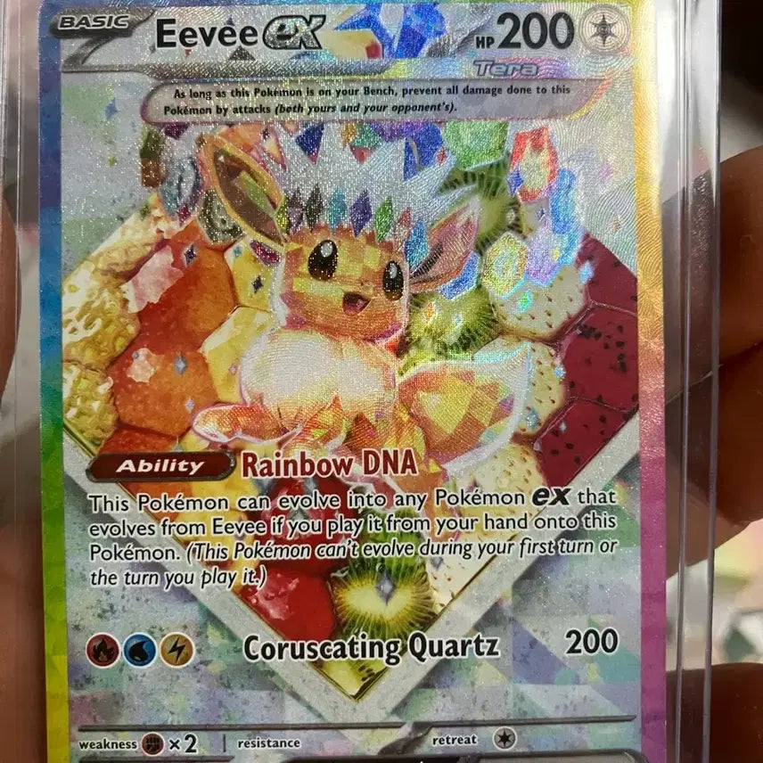 [BUNJANG] Pokemon Card 174 Ivysaur Promo / 미판 이브이 174프로모 포켓몬카드