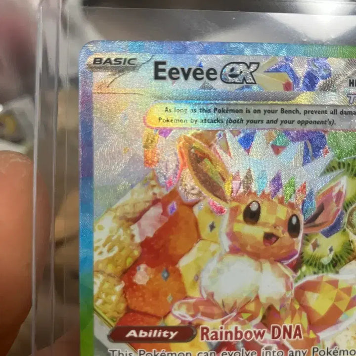 [BUNJANG] Pokemon Card 174 Ivysaur Promo / 미판 이브이 174프로모 포켓몬카드