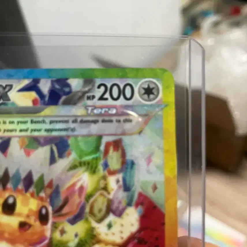 [BUNJANG] Pokemon Card 174 Ivysaur Promo / 미판 이브이 174프로모 포켓몬카드