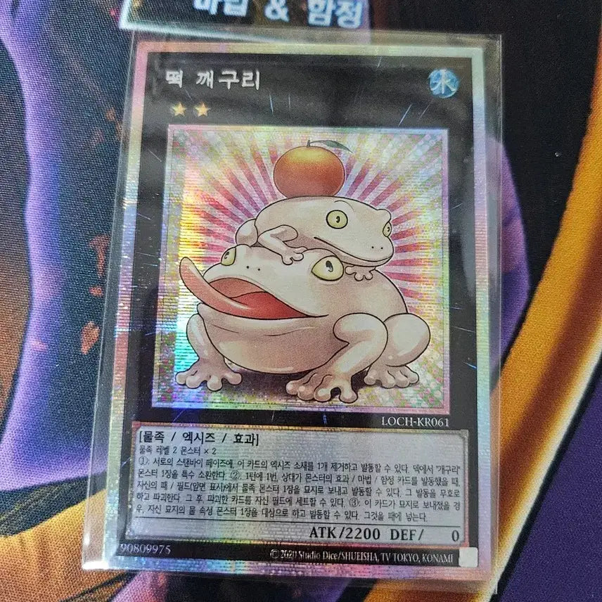 [BUNJANG] Yu-Gi-Oh! Kermit the Frog (Fusion Strike) / 유희왕 떡 깨구리 (프싴)