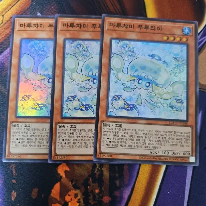 [BUNJANG] Maruchimi Fururia Yu-Gi-Oh! Cards Bundle Set / 유희왕 마루챠미 푸루리아 3장 일괄