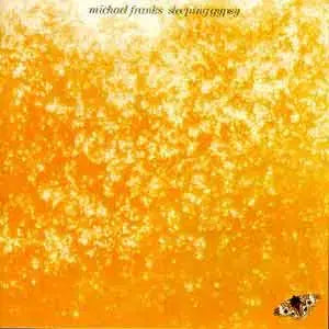 [BUNJANG] Michael Franks The Lady Wants to Know Vinyl Record / MICHAEL FRANKS