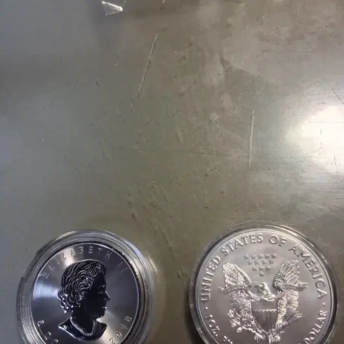 [BUNJANG] Canadian Maple Leaf Silver Coin / 미국이글 카나다매이플은화