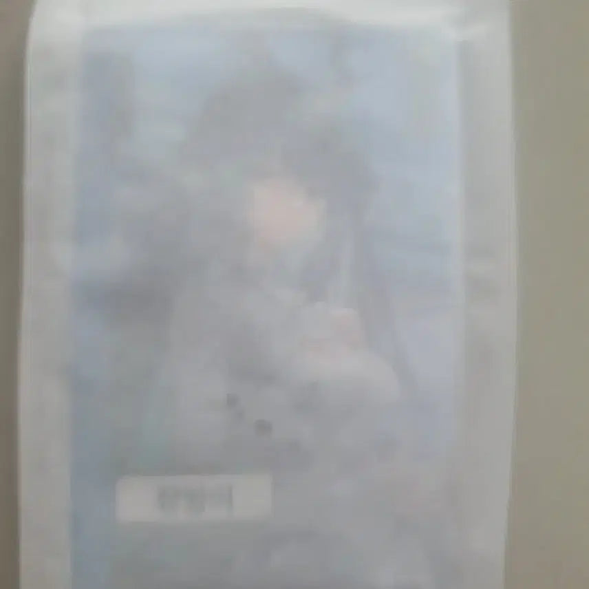 [SOLD OUT] 엔드필드 장방이 포토카드 미개봉