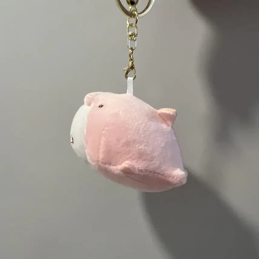 [BUNJANG] Pink Dolphin Mochi Charm / 모찌 핑크 돌고래 키링