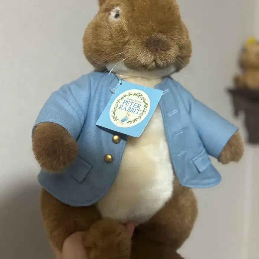 [BUNJANG] Peter Rabbit Genuine Plush Doll / 피터래빗 정품 인형