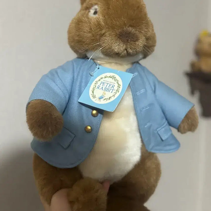 [BUNJANG] Peter Rabbit Genuine Plush Doll / 피터래빗 정품 인형