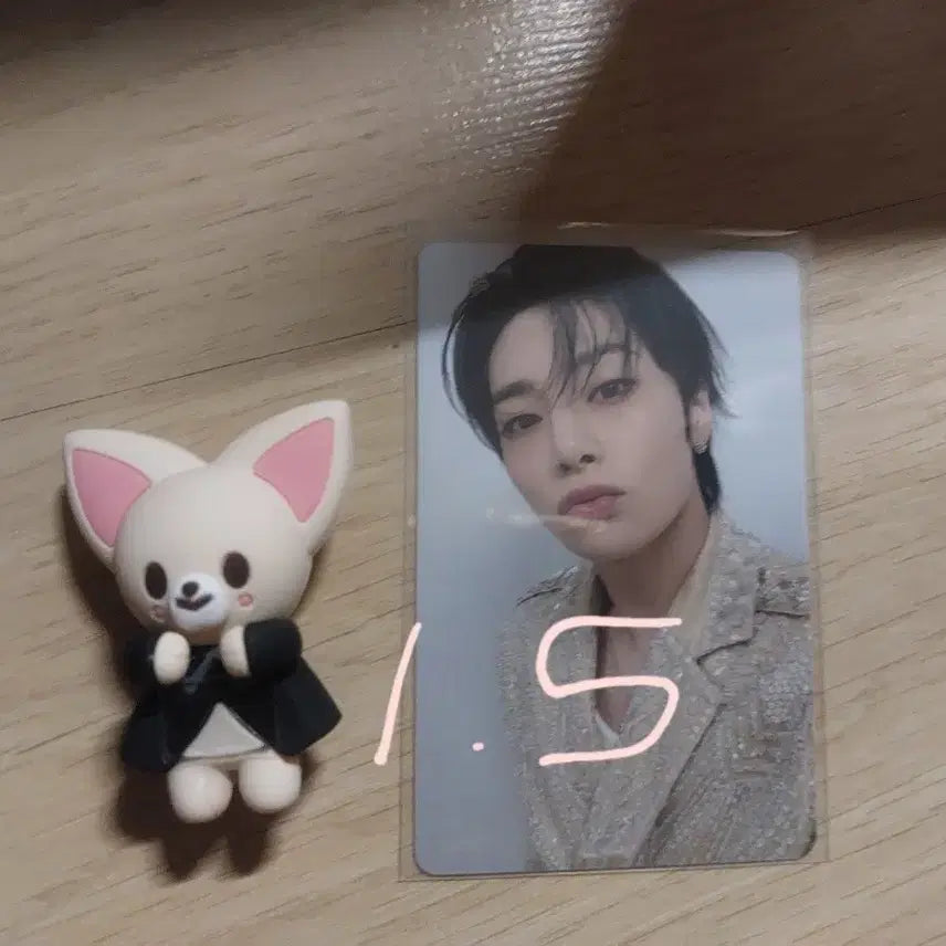 [BUNJANG] Foxiny Boxed Item / 폭시니 판매)박스있