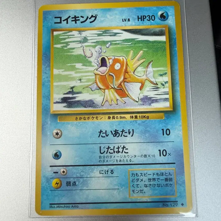 [BUNJANG] Pokemon Card 1996 Magikarp 1st Edition / 포켓몬카드 1996 잉어킹 초판 1st 1ed