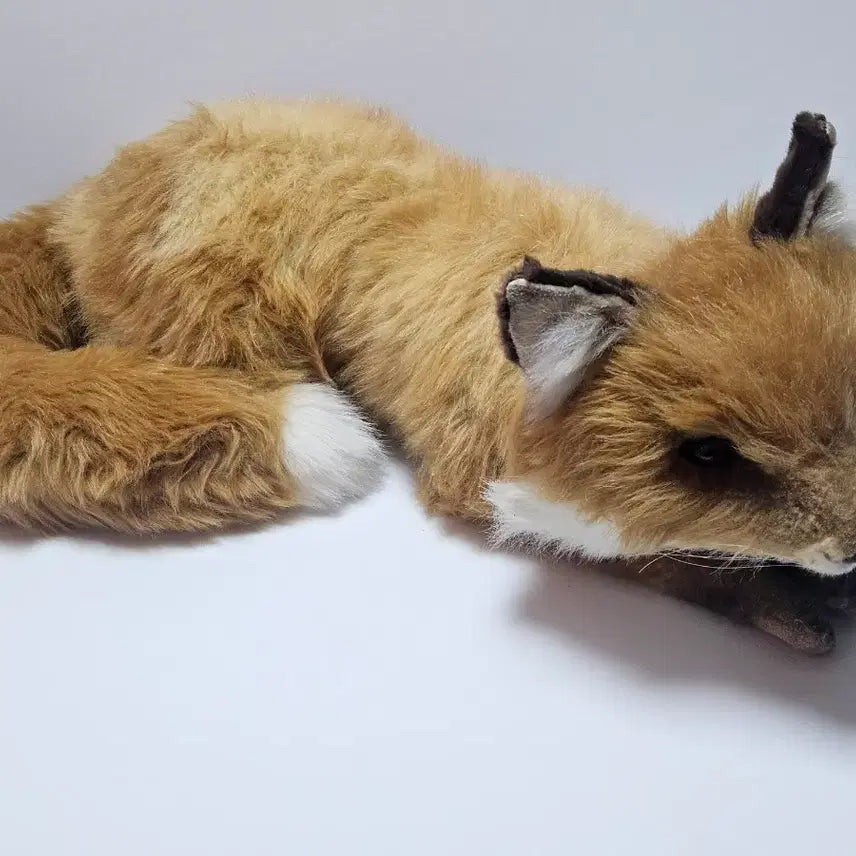 [BUNJANG] Hansa Toy Fox Plush Toy / 한사토이 여우 인형 고퀄리티 봉제인형 장식용