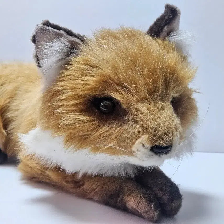 [BUNJANG] Hansa Toy Fox Plush Toy / 한사토이 여우 인형 고퀄리티 봉제인형 장식용