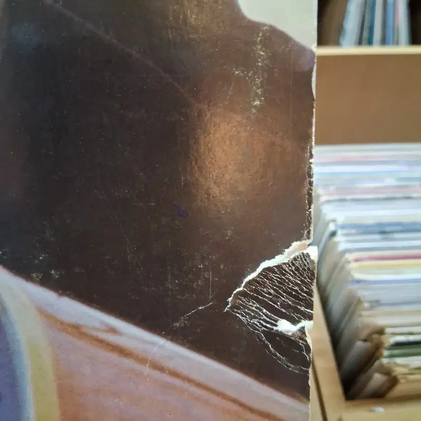 [BUNJANG] Bob Dylan Record LP / 소장가치 밥 딜런 레코드판  LP 할인