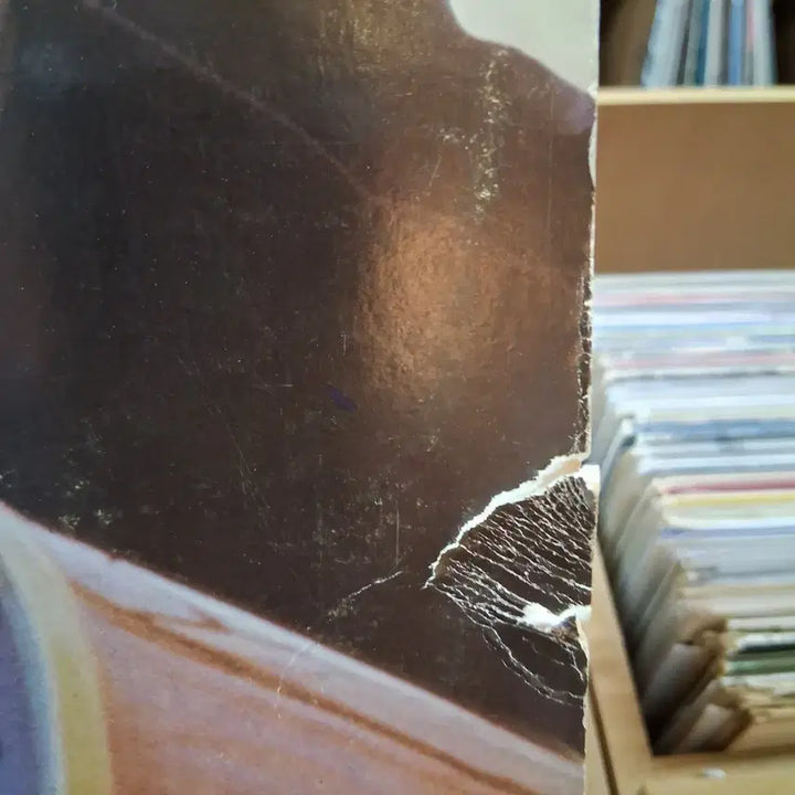 [BUNJANG] Bob Dylan Record LP / 소장가치 밥 딜런 레코드판  LP 할인