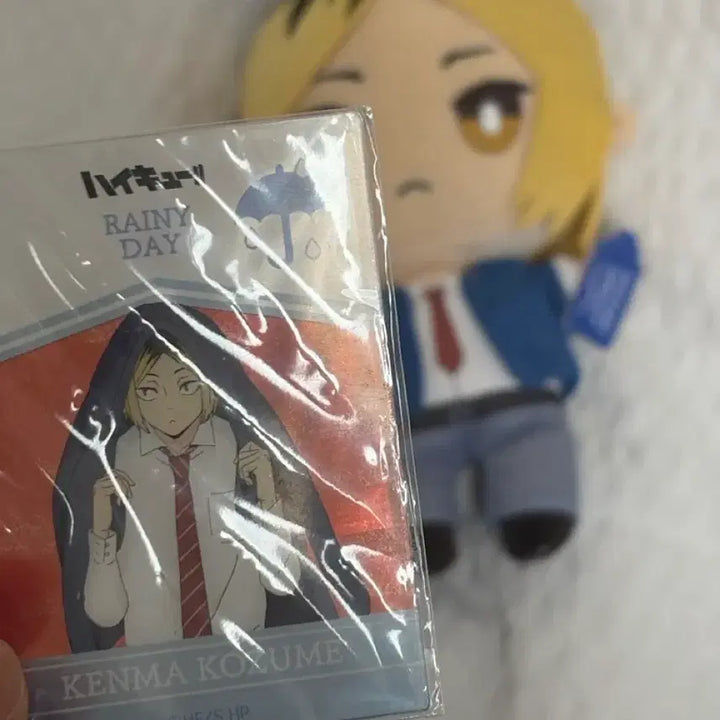 [BUNJANG] Haikyuu!! Kozume Kenma Plush Doll / 하이큐 켄마 인형