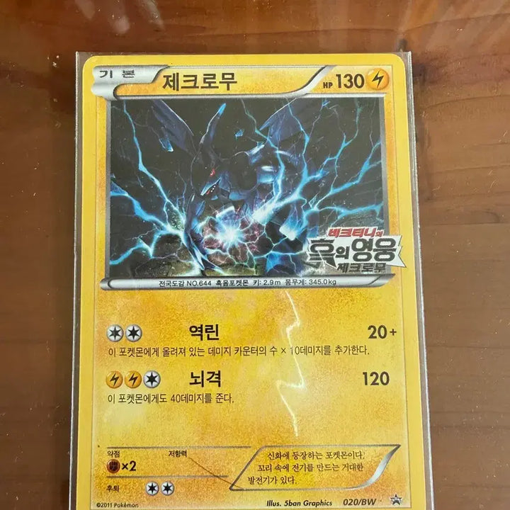 [SOLD OUT] 극장판 레시라무, 제크로무 포켓몬 카드