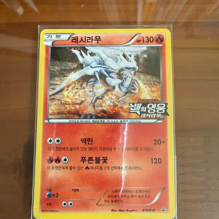 [SOLD OUT] 극장판 레시라무, 제크로무 포켓몬 카드