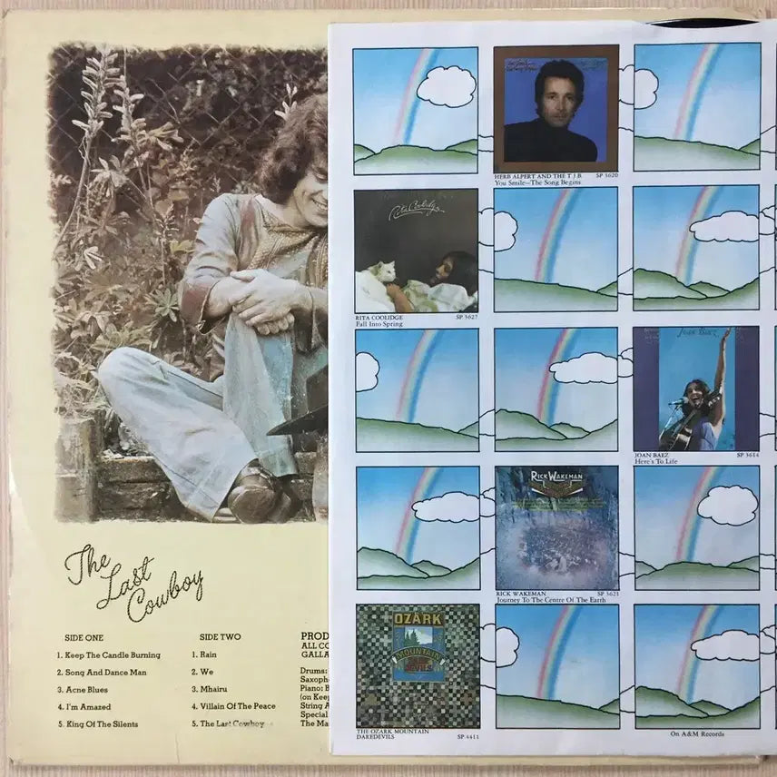 [BUNJANG] Gallagher &amp; Lyle The Last Cowboy Import LP / (수입LP) Gallagher &amp; Lyle / The Last Cowbo