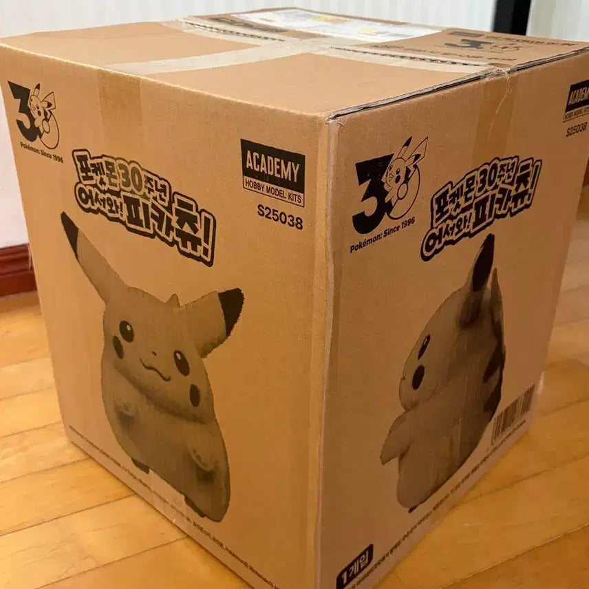 [BUNJANG] Pokemon 30th Anniversary Pikapika Pikachu Plush / 포켓몬 30주년 어서와 피카츄 뚱카츄 인형