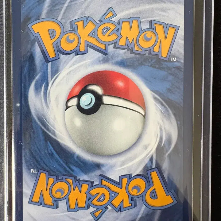 [BUNJANG] Precious Promo Pikachu Indonesian Edition Trading Card / 프레셔스 프로모 피카츄 인도네시아판