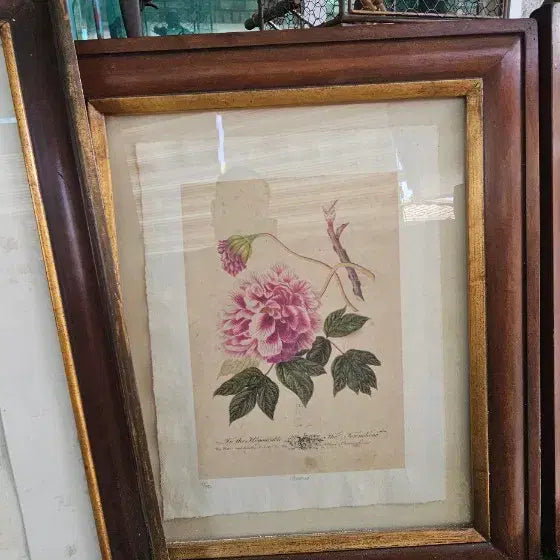 [BUNJANG] Antique Floral Engraving Art Frame / 판화액자