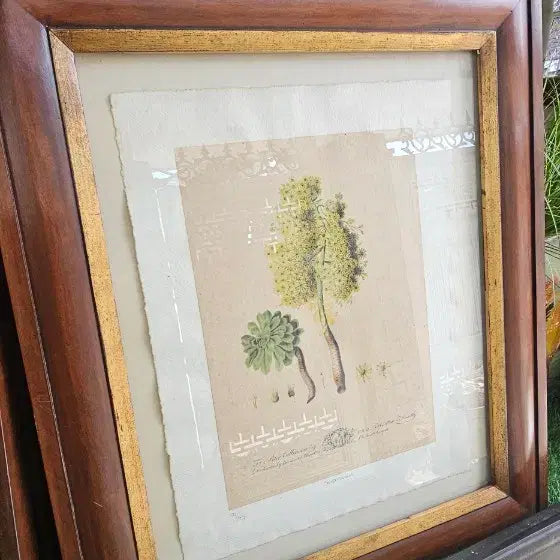 [BUNJANG] Antique Floral Engraving Art Frame / 판화액자