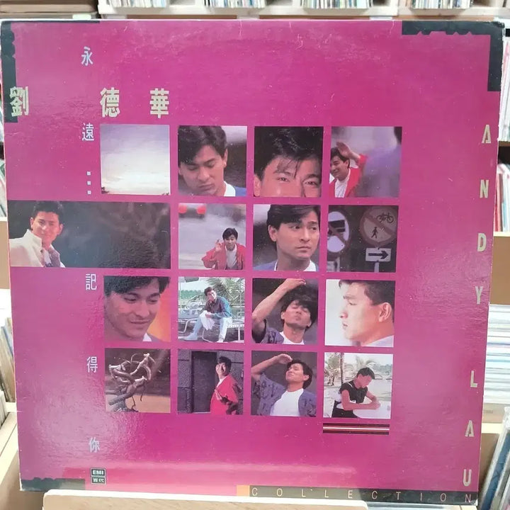 [BUNJANG] Andy Lau Collection LP / 소장가치 유덕화 Andy Lau 컬렉션 LP 할인