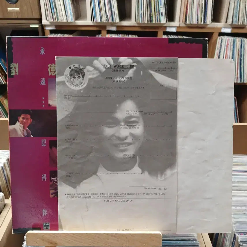 [BUNJANG] Andy Lau Collection LP / 소장가치 유덕화 Andy Lau 컬렉션 LP 할인
