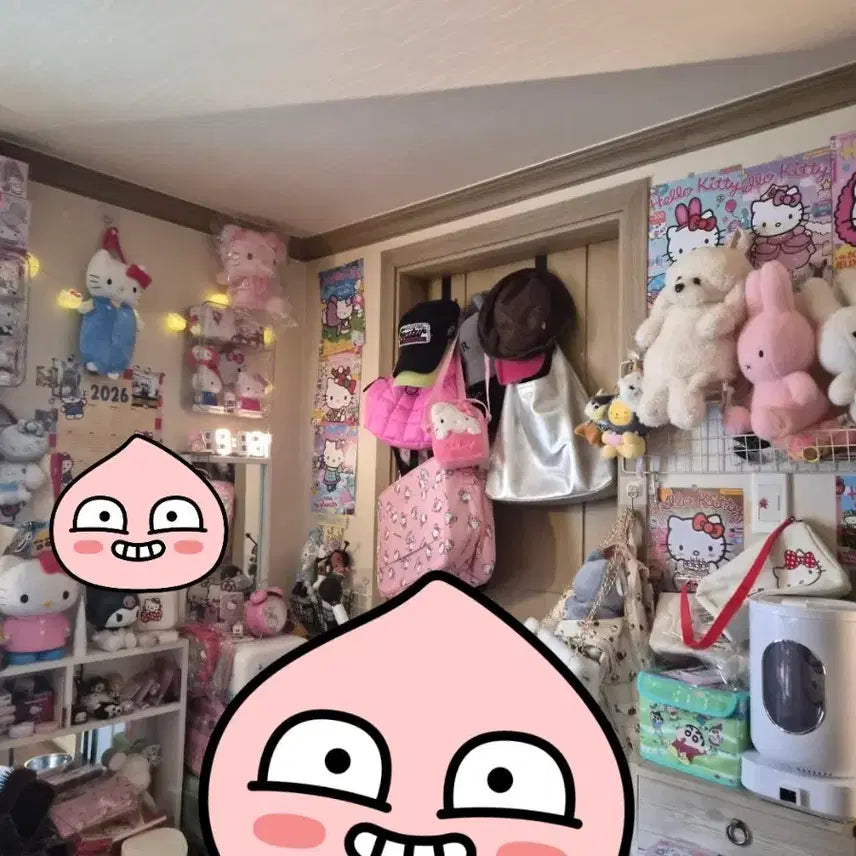 [BUNJANG] Hello Kitty &amp; Sanrio Friends Collection Box / 키티개이득퍼담아드리는박스 ㅎㅅㅎ
