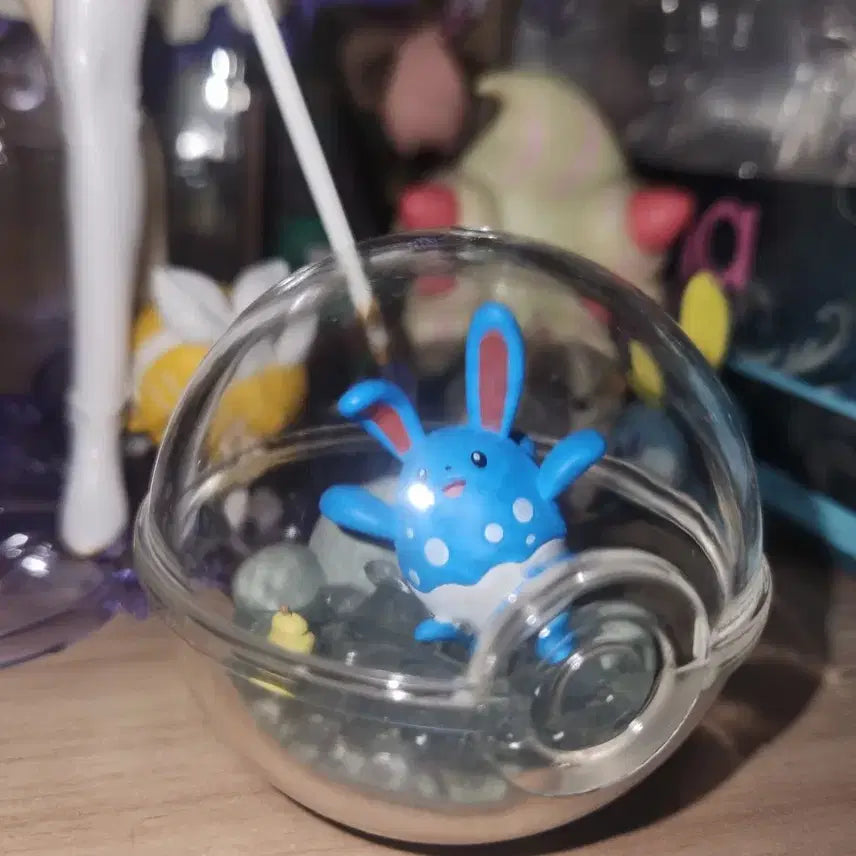 [BUNJANG] Pokemon Terrarium Figure Marill / 포켓몬스터 포켓몬 리멘트 테라리움 피규어 마릴리 판매합니다!
