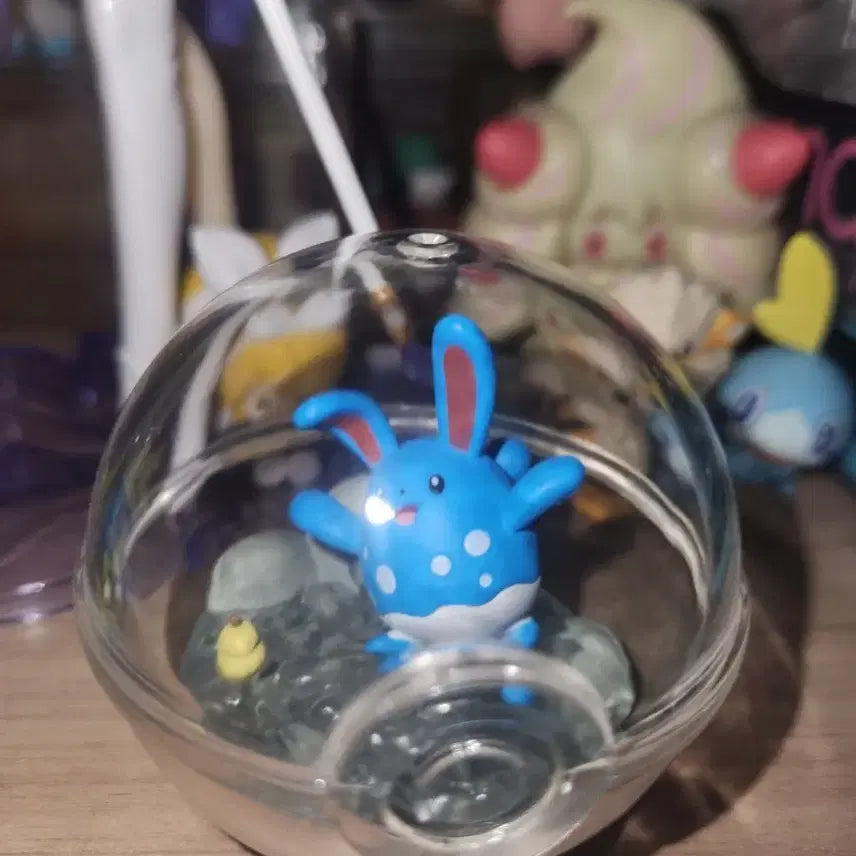 [BUNJANG] Pokemon Terrarium Figure Marill / 포켓몬스터 포켓몬 리멘트 테라리움 피규어 마릴리 판매합니다!