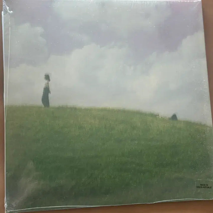 [BUNJANG] Della Zyr Limited Edition Sealed LP / Della Zyr 델라지르 한정판 미개봉 lp
