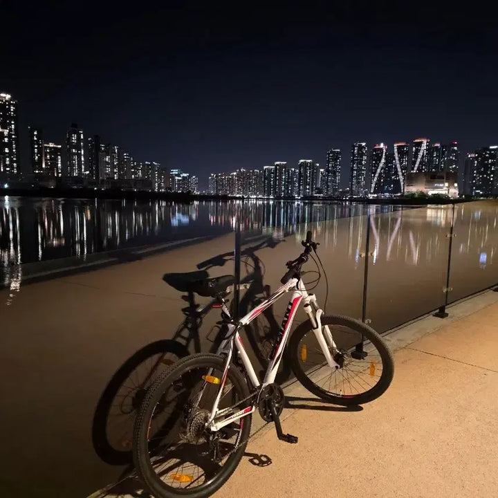 [BUNJANG] Giant Level Large MTB Bicycle / 자이언트 레벨 라지사이즈 mtb팝니다