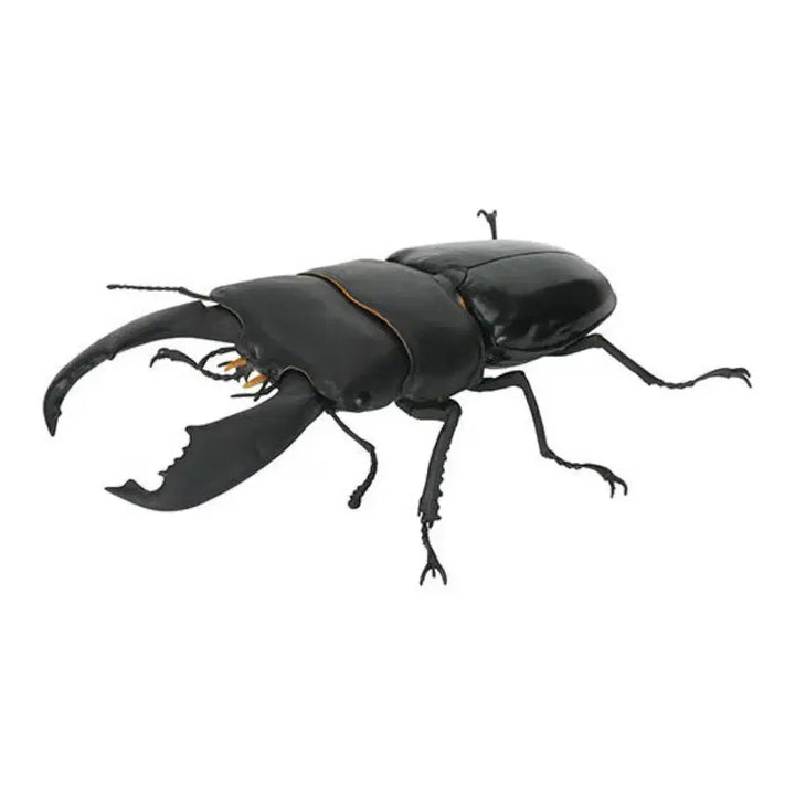 [BUNJANG] Bandai Stag Beetle Sumatra Giraffa Stag Beetle (Upward Inner Teeth Type) Opened Capsule / 생물대도감 사슴벌레  수마트라왕넓적사슴벌레상향 캡슐개봉품