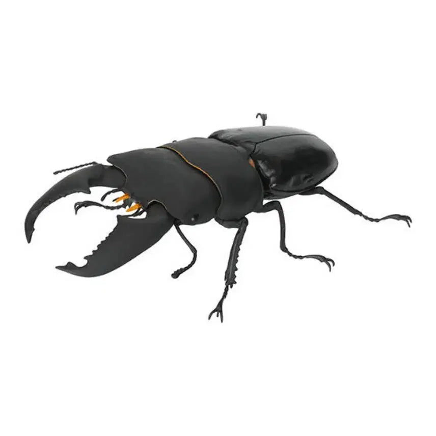 [BUNJANG] Bandai Insect Encyclopedia Stag Beetle Sumatra Hercules Beetle (Downward Inferior Mandible Type) / 생물대도감 사슴벌레 10탄 수마트라왕넓적사슴벌레(하향내치형)