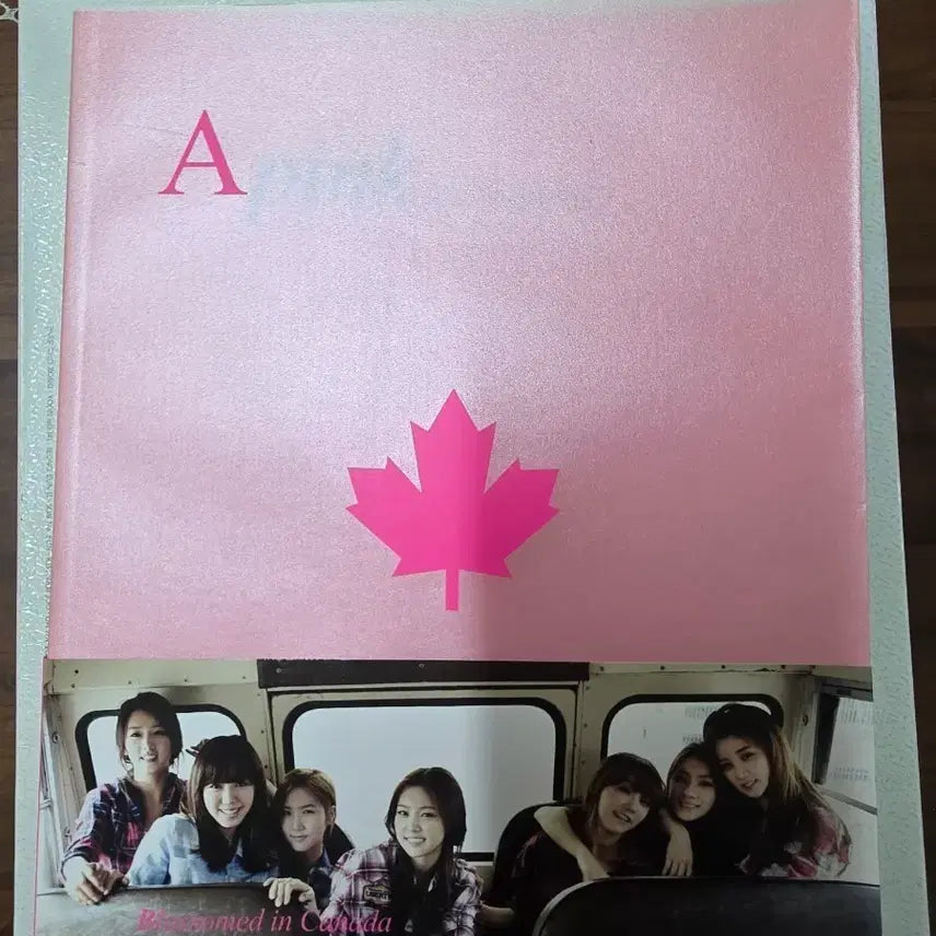[BUNJANG] Apink Pink Blossom Photobook / 에이핑크