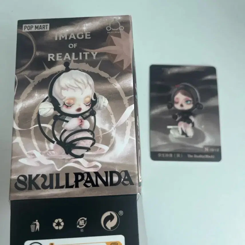 [BUNJANG] Pop Mart Skullpanda Image of Reality Figure / 팝마트 스컬판다 Image of Reality 피규어