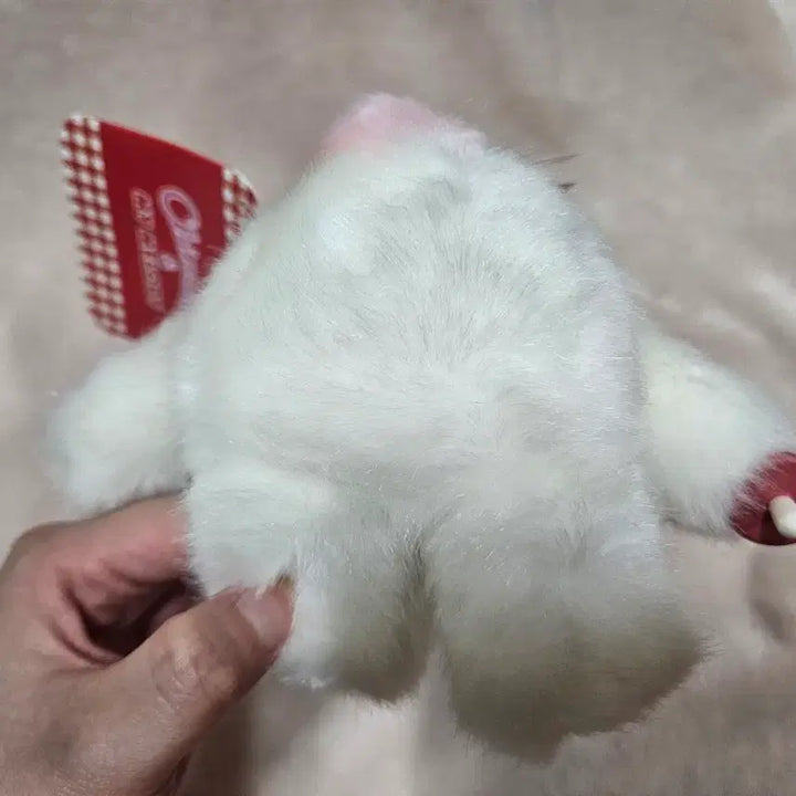 [BUNJANG] Sanrio My Melody Chimutan S Size Doll / 마이멜로디 치무탄 s사이즈 인형