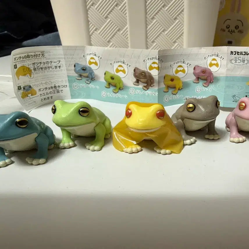 [BUNJANG] Amekae-ru Frog Gacha Set / 아메카에루 개구리 가챠