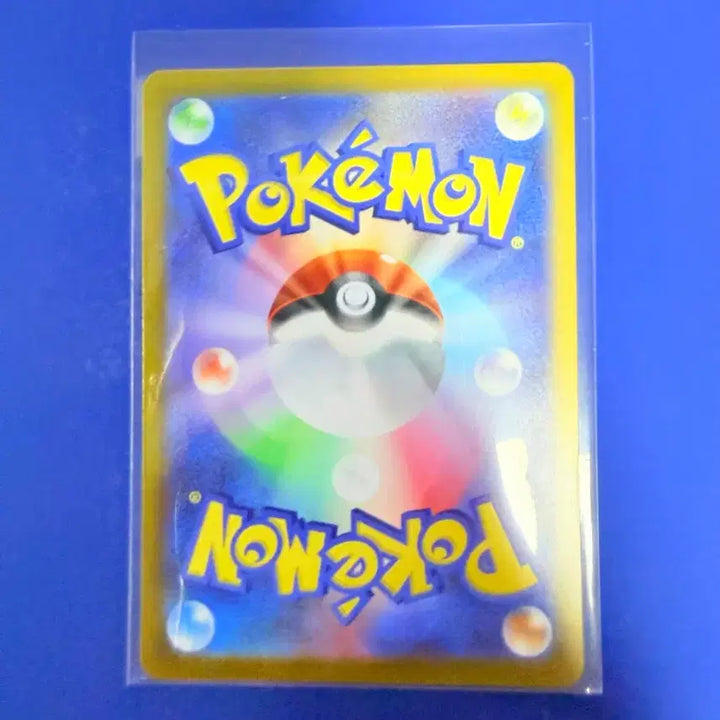 [BUNJANG] Pokemon Card 100 Deck Mirror Japanese / 포켓몬카드 100덱 미러 일판