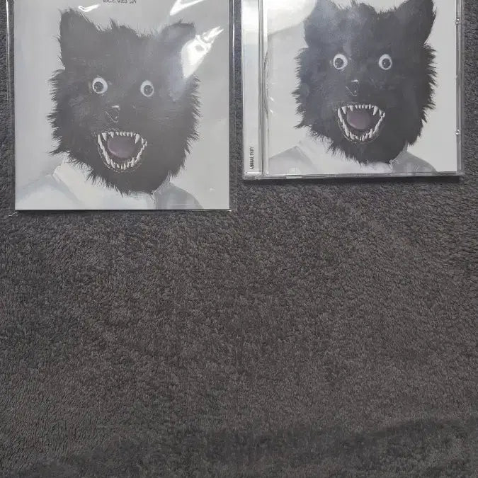 [BUNJANG] Vice Versa Animal FKRY Limited Edition Signed Album / 바이스벌사 animal fkry 초판 넘버링+사인반+잡지