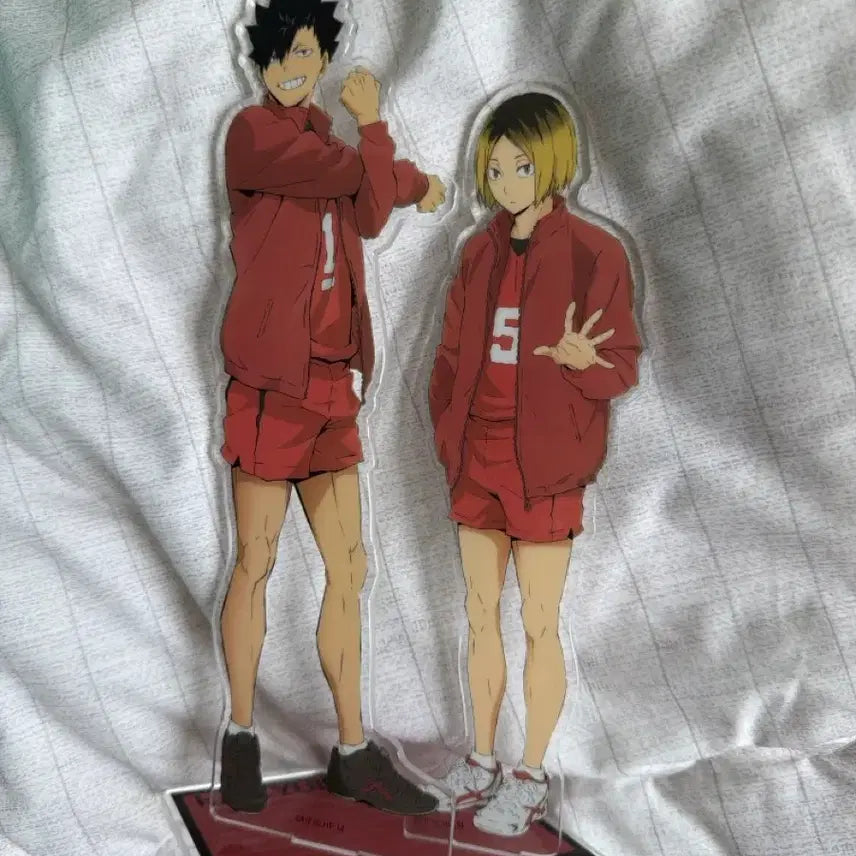 [BUNJANG] Haikyu!! Nekoma Kuroo &amp; Kenma Large Acrylic Stand / 급처가/상태좋음)하이큐 네코마 쿠로오, 켄마 아크릴 스탠드