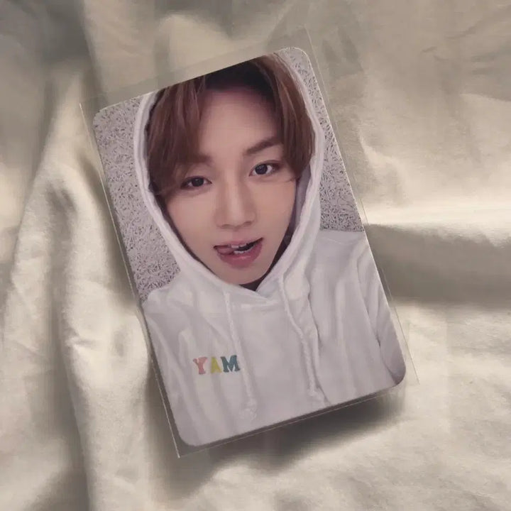 [BUNJANG] Park Jihoon Mamute POB / 가격내림 급처 )) 박지훈 마뮤테