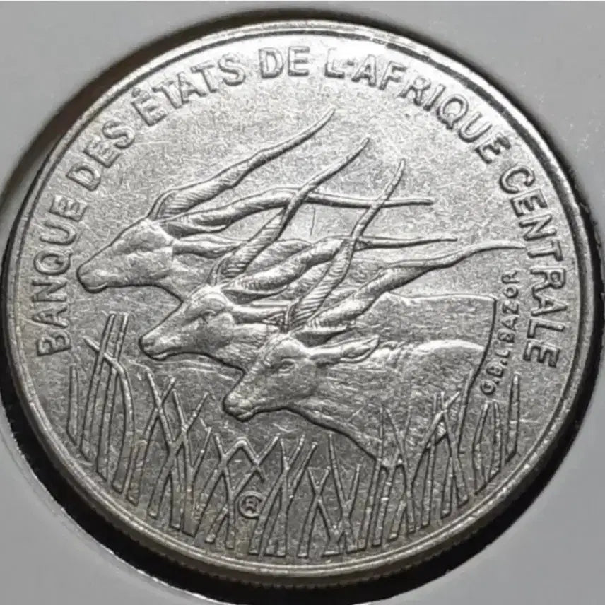 [BUNJANG] Central African 2003 100 Francs Uncirculated Coin / 중앙아프리카 미사용 2003년 100프랑.외국주화.주화 화폐 동전
