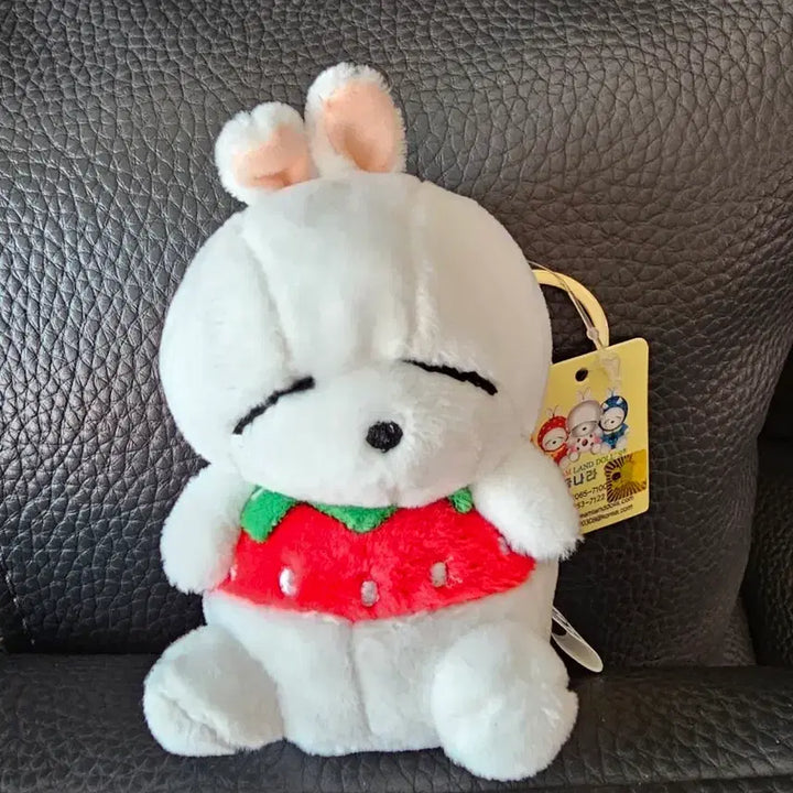 [BUNJANG] Yeopgi Tokki Mashimaro Strawberry Charm Doll / 엽기토끼 마시마로 딸기 키링 인형