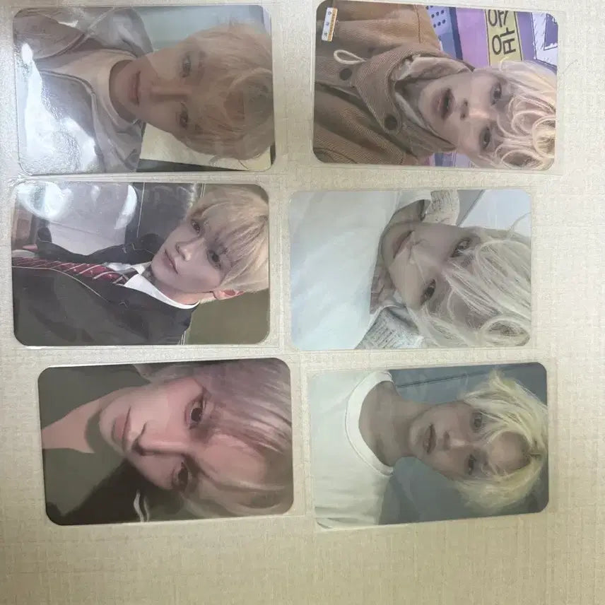 [BUNJANG] Zhang Han Yunnan Fancon Bundle Set Photocard / 장한음 팬콘 포카 일괄